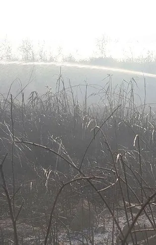 Kocaeli'de yangın! 10 dönüm sazlık kül oldu