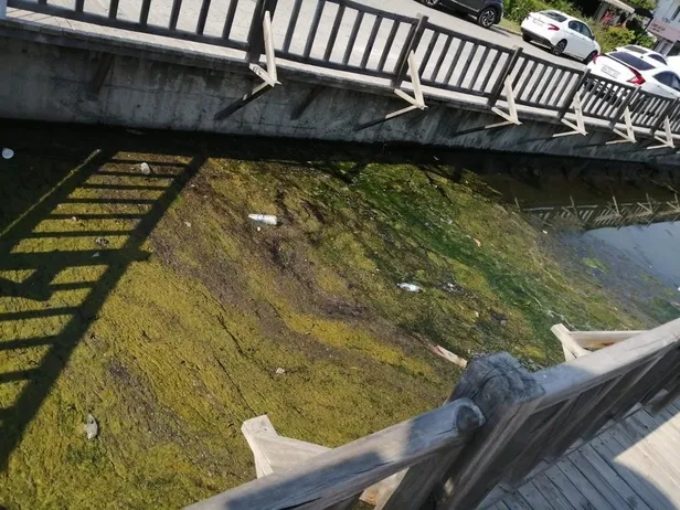 Son dakika: Fethiye’de mide bulandıran görüntüler! Kanal pislikten görünmüyor, koku pencere kapattırıyor-1