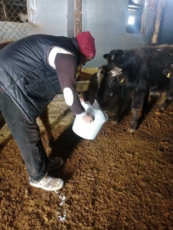 mansur-yavasa-isyan-ne-su-var-ne-yol-sutten-kesildim-babamin-cenazesine-gidemedim-1640337424613.jpg Mansur Yavaş'a isyan: Ne su var ne yol! 'Sütten kesildim babamın cenazesine gidemedim'-7