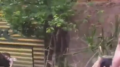 Aşı karşıtı doktor Bilgehan Bilge’den skandal açıklamalar