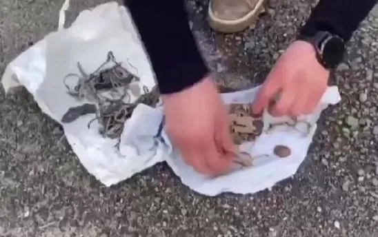 İstanbul'da tarihi eser kaçakçılarına baskın! 2 şüpheli gözaltına alındı-3