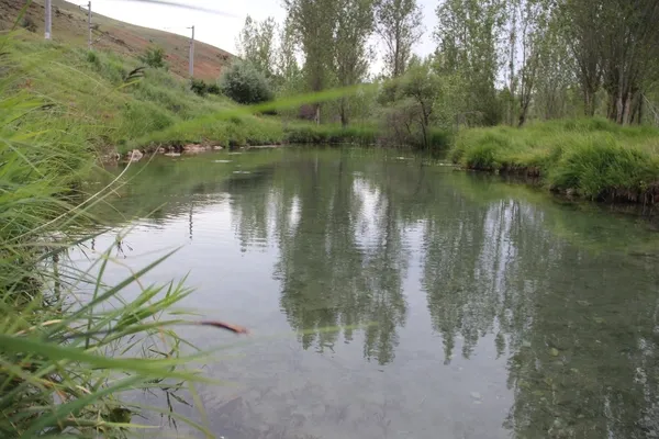 baskan-erdogan-imzayi-atti-sivas-kangalda-kalkim-balikli-koyu-projesi-icin-acele-kamulastirma-karari-alindi-1644823420479.jpg Başkan Erdoğan imzayı attı! Sivas Kangal'da Kalkım Balıklı Köyü Projesi için acele kamulaştırma kararı alındı-6