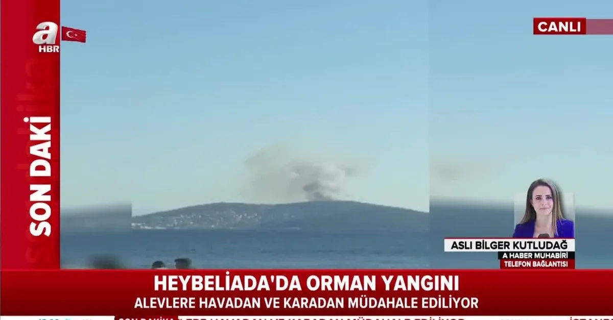 Son Dakika Istanbul Heybeliada Da Yangin Takvim
