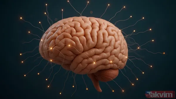 Kalp Derneği'nden Uyarı Amerikan Kalp Derneği (Aha), Günlük Kalorinin %6'Sından Fazlasının Doymuş Yağlardan Gelmemesi Gerektiğini Belirtiyor. Günde 2.000 Kalori...