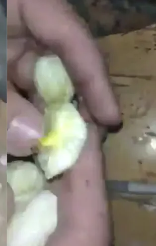 Azerbaycan Ordusu tarafından ele geçirilen Ermeni askeri birliğinde uyuşturucu bulundu