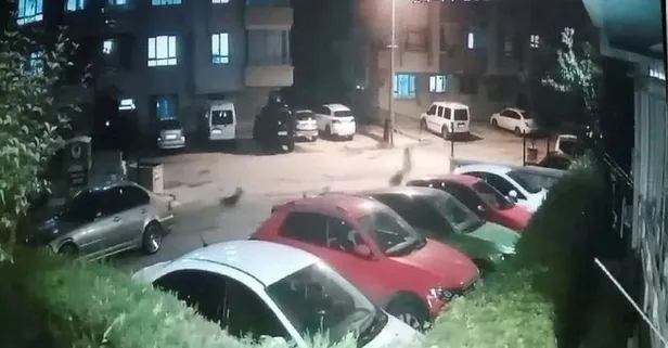 Yine başıboş köpek dehşeti: Kızını korumak için koşarken kucağındaki çocuğuyla yere düştü!