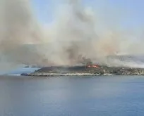 Son dakika: İzmir Urla’da makilik alanda yangın!