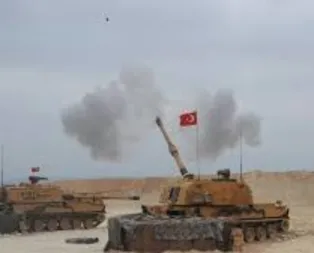 ABDdeki Türk öğrencilerden Barış Pınarı Harekatına destek