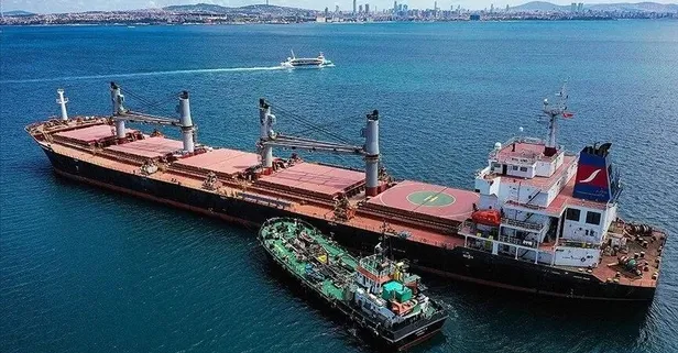 Son dakika: Milli Savunma Bakanlığı'ndan 'tahıl koridoru' açıklaması: Çalışmalar sürecek