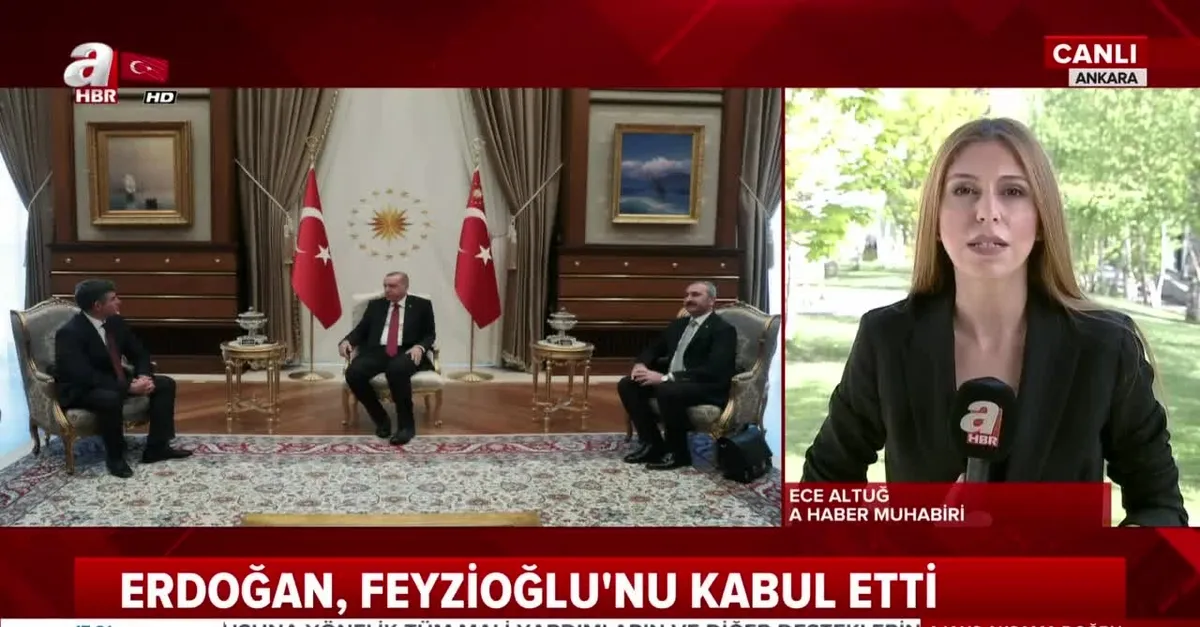 Başkan Erdoğan, Feyzioğlu’nu kabul etti