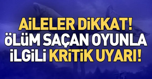Bakanlıktan kritik 'Mavi Balina' uyarısı