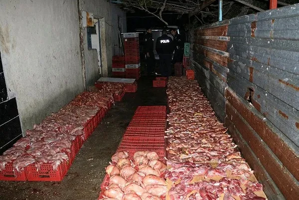 Görüntüler mide bulandırdı-3
