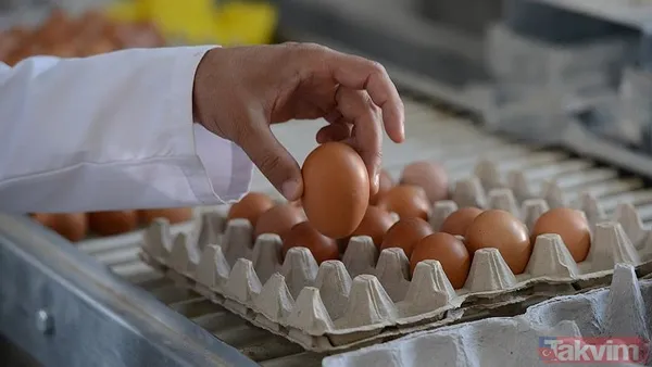 Sıcak Havada Dikkat Edilmesi Gerekenler Özellikle Sıcak Hava Koşullarında, Yumurtaların Bozulma Riski Daha Yüksektir. Eğer Bulunduğunuz Bölgede Hava...