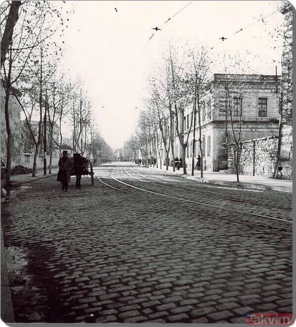 İstanbul tarihine kazınan bir ihanet! Ağaç zarar görmesin diye köşk yürüten Atatürk'ten asırlık çınarları katleden CHP'li İBB'ye - 9