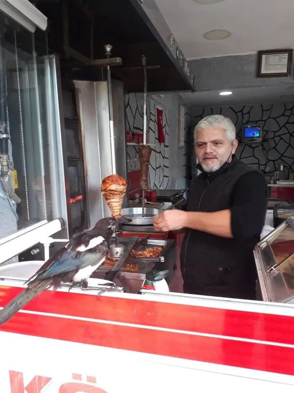 doner-tiryakisi-saksagan-musterileri-donerlerini-yemeden-birakmiyor-1633678630695.jpg
