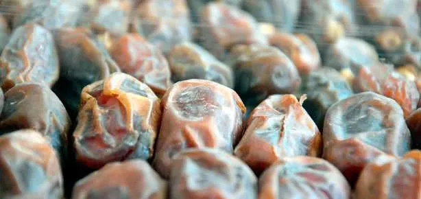 Hurma etle yarışıyor