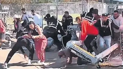 İspanya'da 8 deve ve bir lama, gece çalıştıkları sirkten firar etti (Dünya haberleri)-1