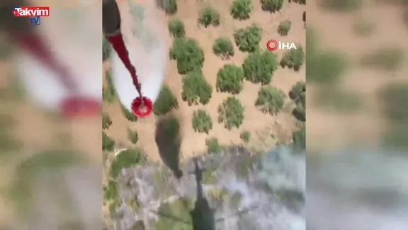 Germencik'te orman yangını