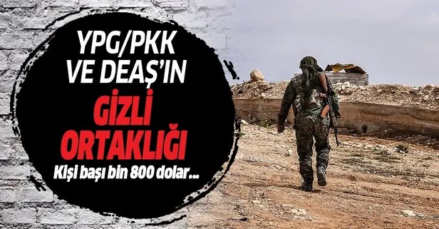 YPG/PKK Suriye’de para karşılığı DEAŞ militanlarını serbest bırakıyor