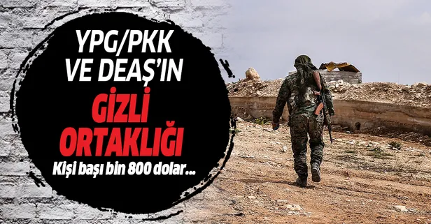 YPG/PKK Suriye'de para karşılığı DEAŞ militanlarını serbest bırakıyor