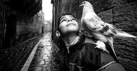 Ara Guler Haberleri Son Dakika Ara Guler Gelismeleri