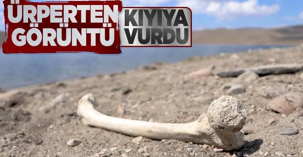 Erzurum Palandöken Baraj Gölü’nde sular çekildi! Mezarlar ortaya çıktı kemikler kıyıya vurdu