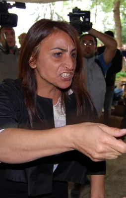 HDP'li Aysel Tuğluk gözaltına alındı