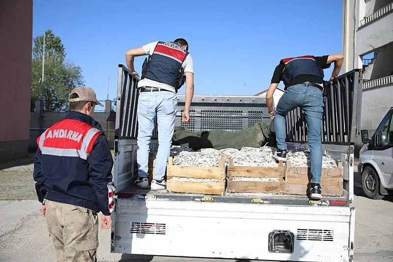 Van'da ele geçirildi İlçe Tarım ve Orman Müdürlüğü'ne teslim edildi: Tuzlanarak kurutulmuş 5 ton inci kefali!-2