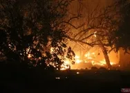 CHP yandaşı fondaş medya PKKyı gölgeliyor! Ormanları kim yakıyor? diye soramadılar...