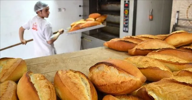 Uzmanlardan kritik uyarı: Fazla ekmek tüketimi bağışıklığı zayıflatabilir