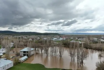 Dere taştı, hayvanlar...