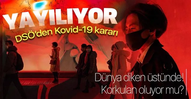 DSÖ’den son dakika koronavirüs Kovid-19 kararı! ’Çok yüksek’ seviyeye çıkarıldı