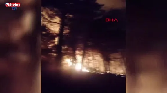 Orman yangını büyümeden söndürüldü