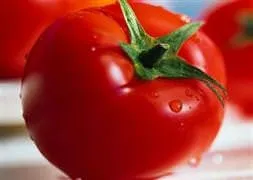 Domates yasaklandı