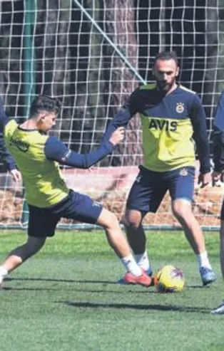 Kanarya sahaya iniyor