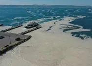 Son dakika: Müsilaj araştırma komisyonu kurulmasına ilişkin karar Resmi Gazetede yayımlandı!