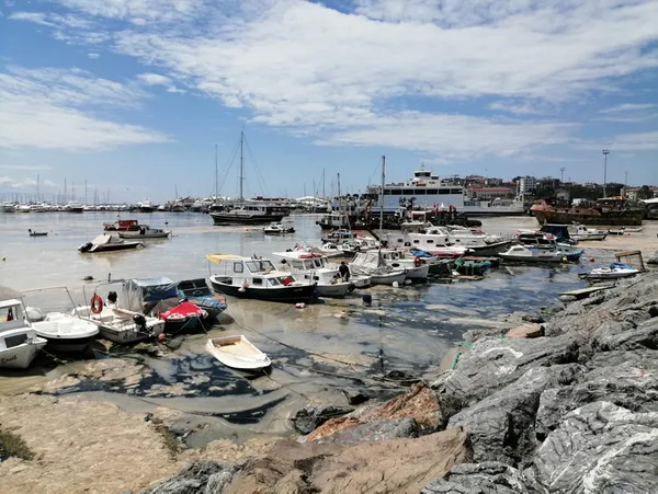 son-dakika-pendik-marinada-deniz-salyasi-nedeniyle-suyun-yuzeyi-gorunmuyor-1620394606460.jpg SON DAKİKA: Pendik Marina'da deniz salyası nedeniyle suyun yüzeyi görünmüyor-6