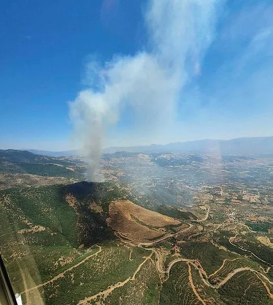 İzmir'deki orman yangını dakikalar içerisinde kontrol altına alındı-1