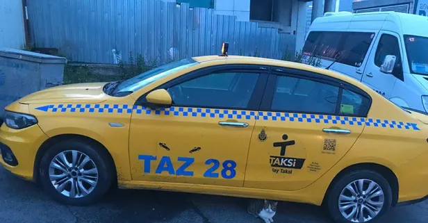 Beyzbol sopasıyla dehşet saçtı! Saldırgan taksici için karar