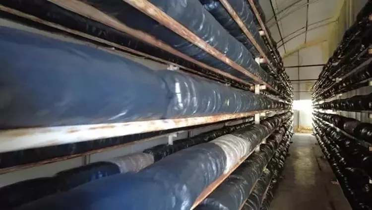 1-milyon-400-bin-tl-kazaniyor-koyunde-kurdugu-bu-modelle-servet-sahibi-oldu-cuval-cuval-getirisi-var-1709753578207.jpeg Köyünde kurduğu bu modelle servet sahibi oldu! 1 milyon 400 bin TL kazanıyor! Çuval çuval getirisi var-3