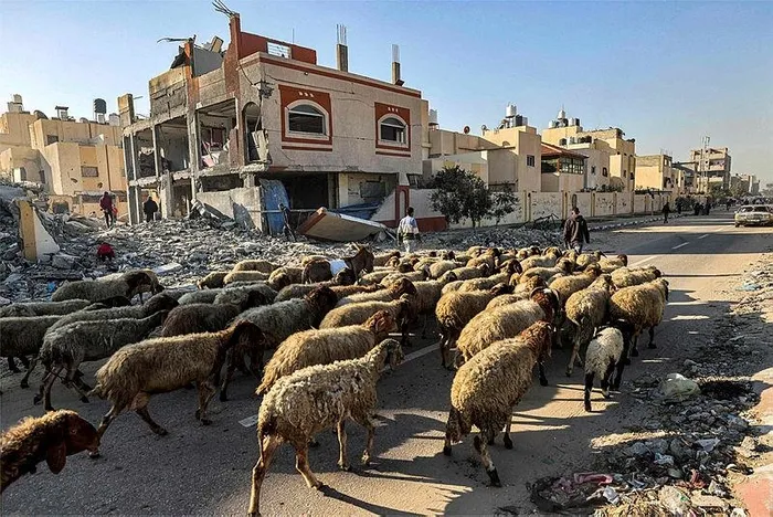 Gazze’nin yüzde 80’i yok oldu: Geriye molozlar ve kırık camlar kaldı! ABD gazetesi yazdı: 800 bin kişinin dönecek bir evi yok-4