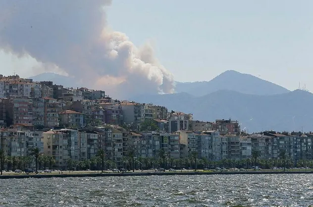 Son dakika: İzmir'de Balçova'da orman yangını