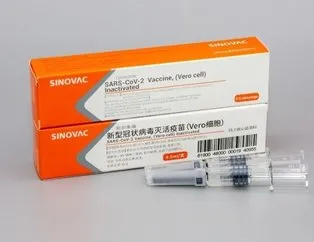 İki doz Çin aşısında antikor yüzde kaç?