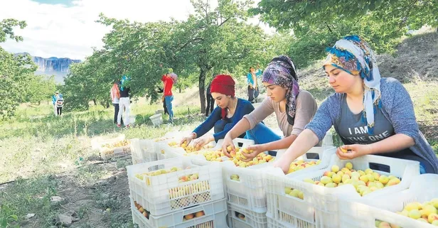 “Alışverişimizi deprem bölgesindeki yerel üreticiden yapalım” çağrısı ünlülerin desteğiyle karşılık buldu
