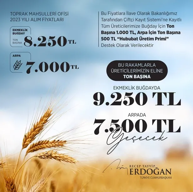 Çiftçiye müjde: Buğday ve arpa alım fiyatları belli oldu!-2