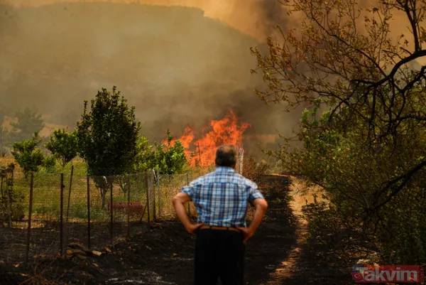 Kan kaybeden PKK, Türkiye'nin ormanlarını yakıyor: Yunanistan'da eğitim gördüler hedeflerinde turistik bölgeler var - 17