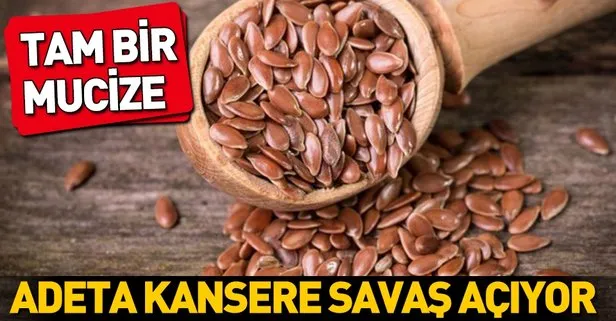 Keten tohumuyla kansere göğüs ger