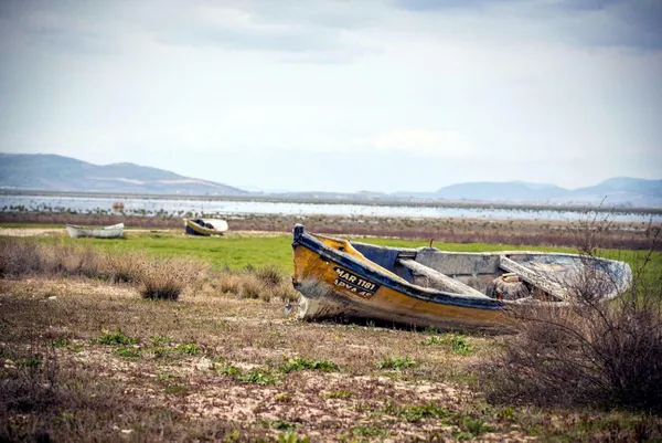tarim-ve-orman-bakanligi-tamamen-kuruyan-marmara-golunun-kurtarilmasi-icin-calisma-baslatti-1651823285971.jpg Tarım ve Orman Bakanlığı tamamen kuruyan Marmara Gölü'nün kurtarılması için çalışma başlattı-7