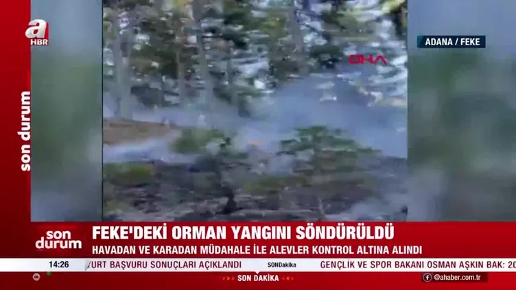 Adana Feke'de orman yangını!