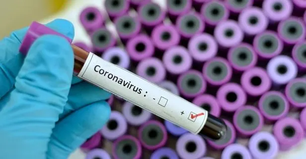 Son dakika: Katar’da eğitime koronavirüs engeli! Okullar tatil edildi
